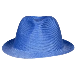 blue mesh hat